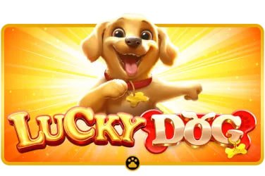 lucky 63 slide 2